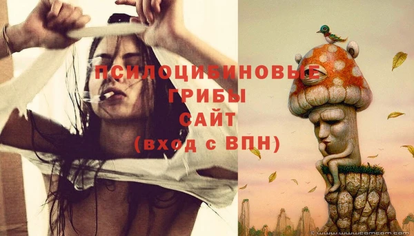 крисы Алексеевка
