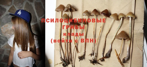 твердый Аркадак