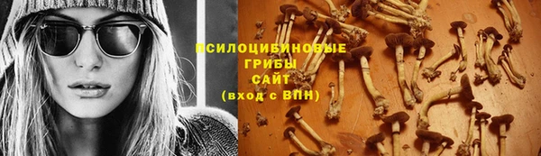 крисы Алексеевка