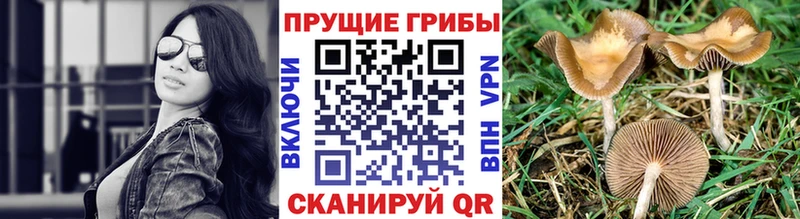блэк спрут ссылка  Краснокамск  Псилоцибиновые грибы ЛСД  купить  цена 