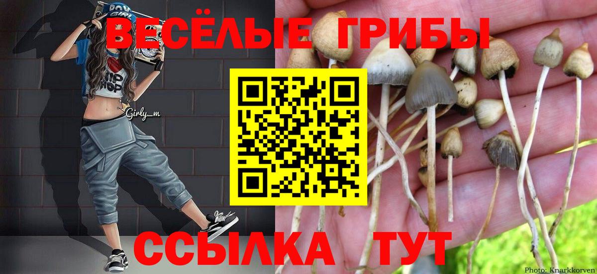 Псилоцибиновые грибы ЛСД Краснокамск